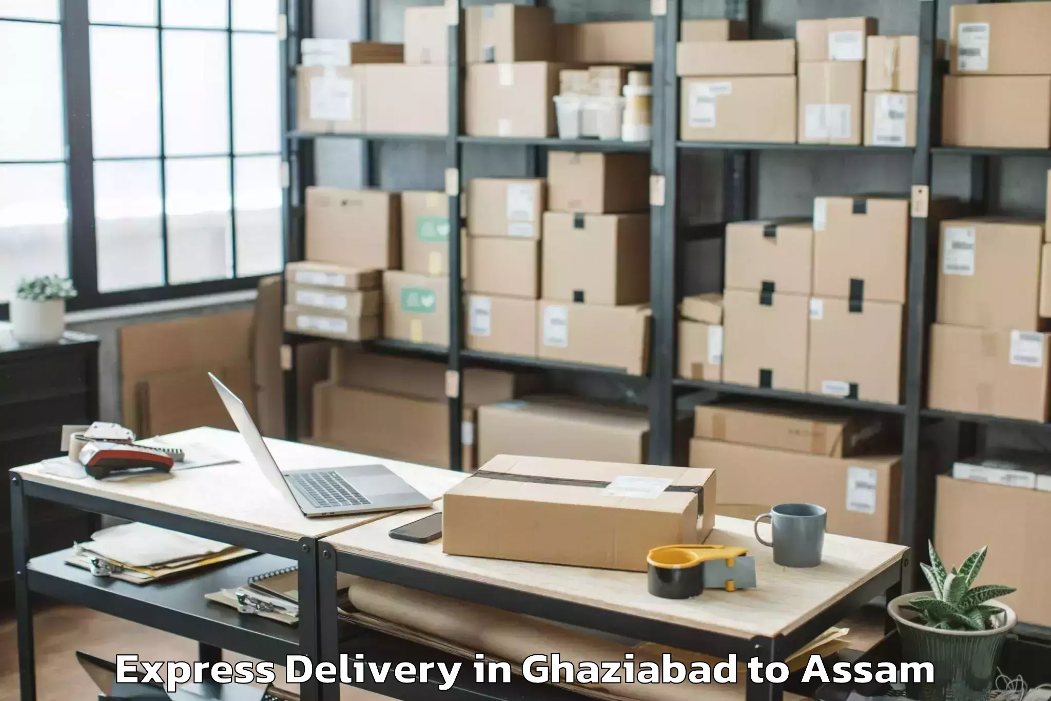 Professional Ghaziabad to Fekamari Express Delivery